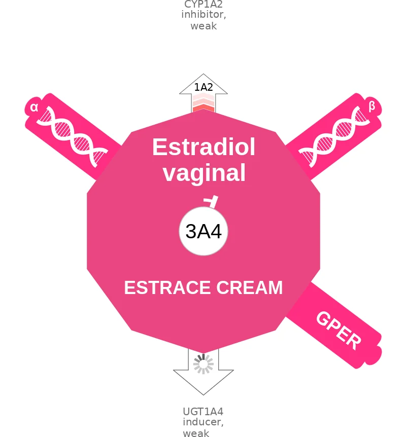 Estradiol vaginal ballicule: receptor binding, kinetics and half-life diagram