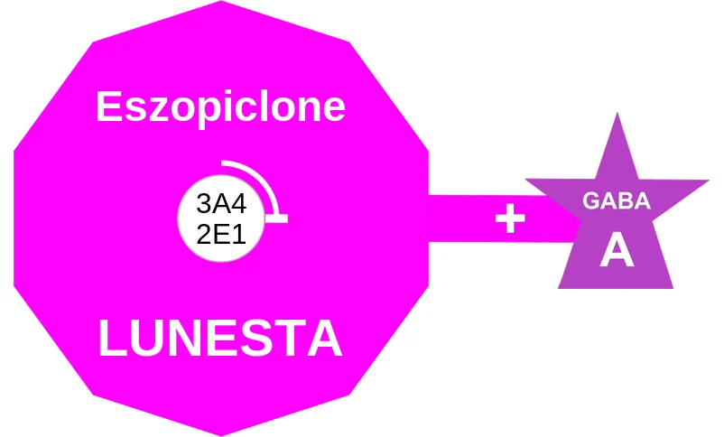 Eszopiclone ballicule: receptor binding, kinetics and half-life diagram