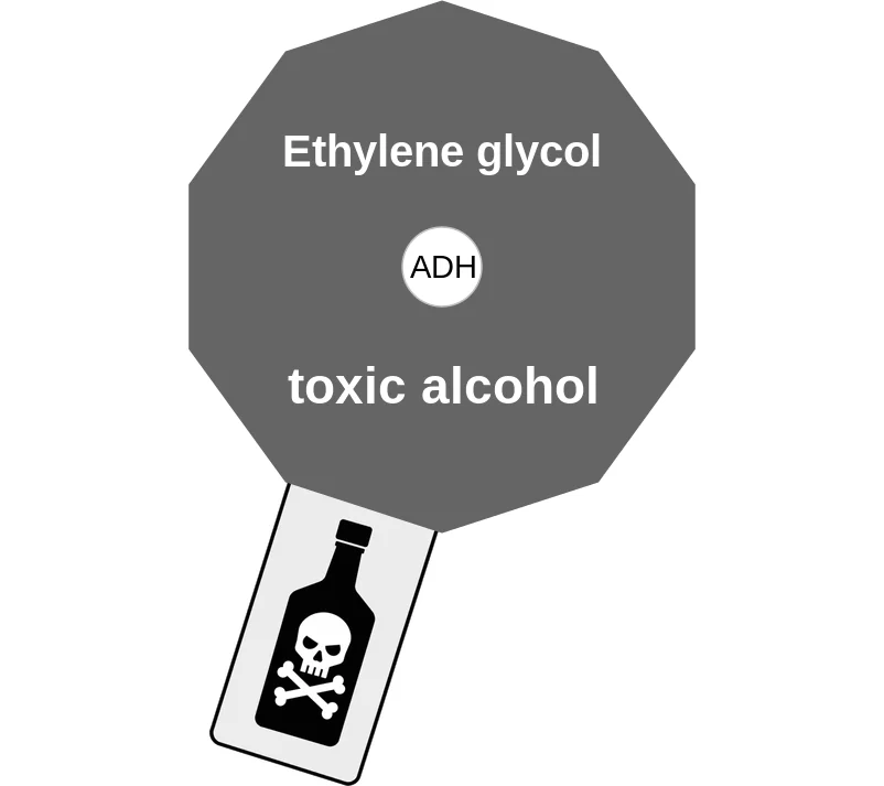 Ethylene glycol ballicule: receptor binding, kinetics and half-life diagram