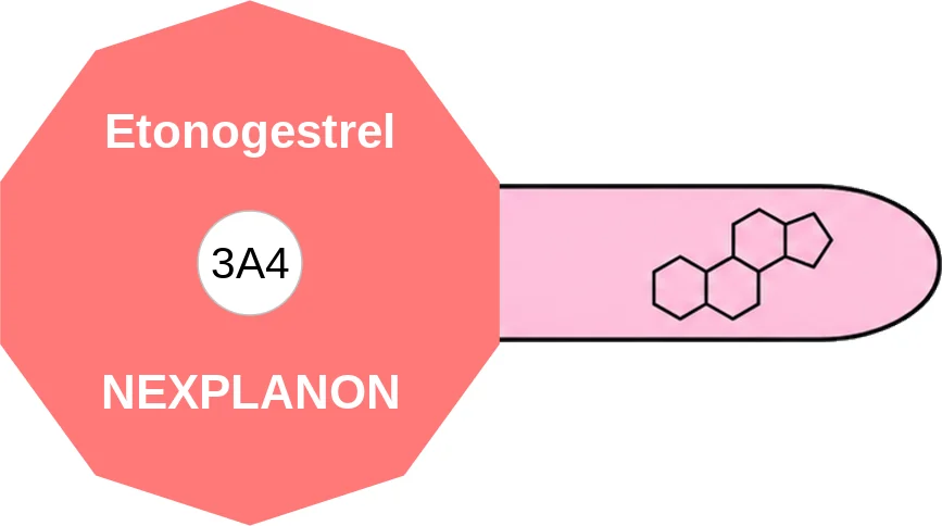 Etonogestrel ballicule: receptor binding, kinetics and half-life diagram