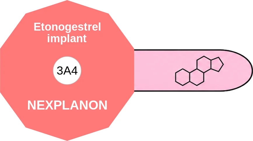 Etonogestrel implant ballicule: receptor binding, kinetics and half-life diagram
