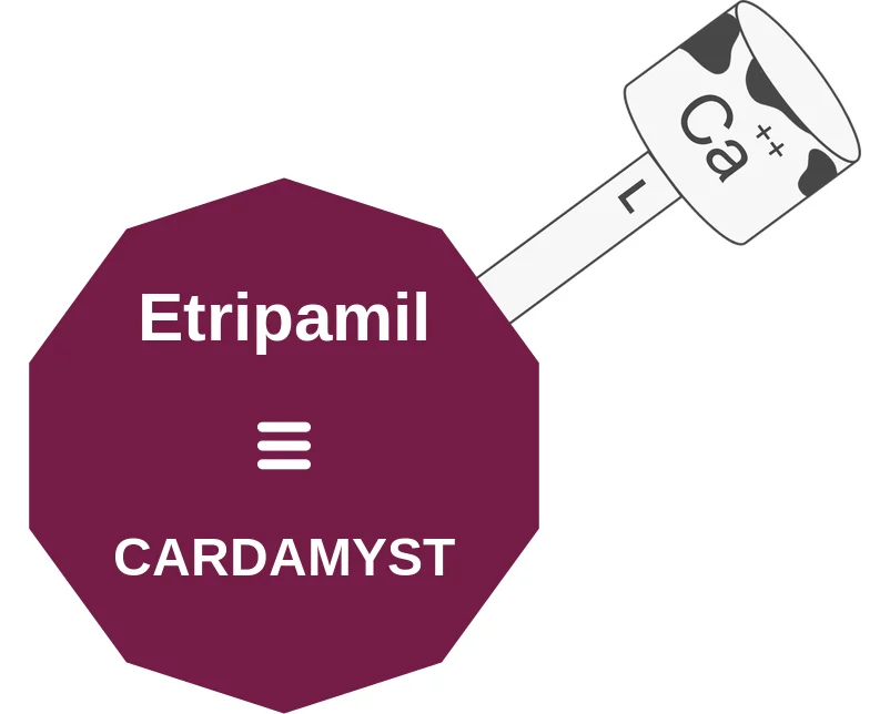 Etripamil ballicule: receptor binding, kinetics and half-life diagram