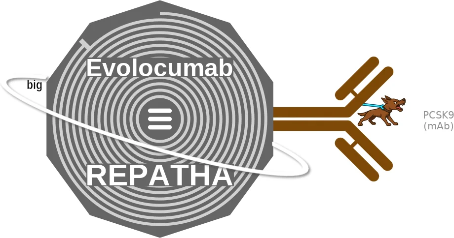 Evolocumab ballicule: receptor binding, kinetics and half-life diagram