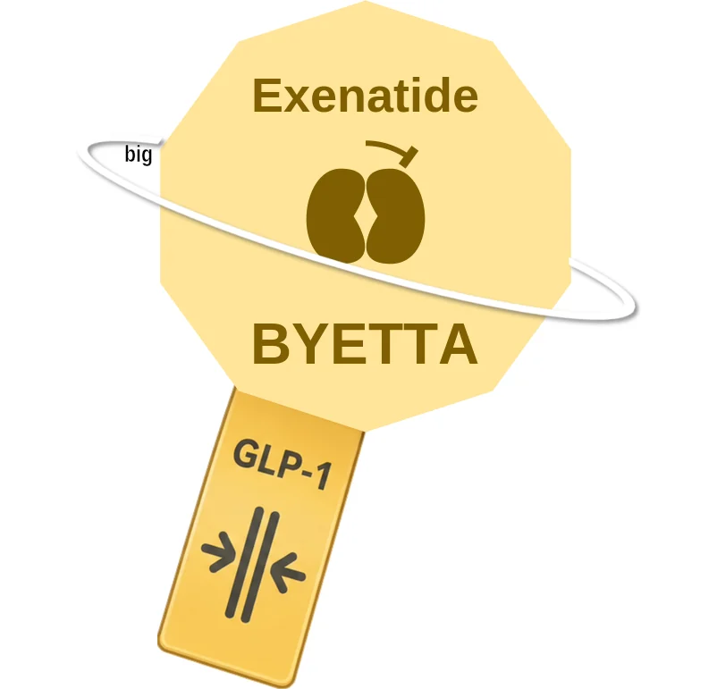 Exenatide ballicule: receptor binding, kinetics and half-life diagram