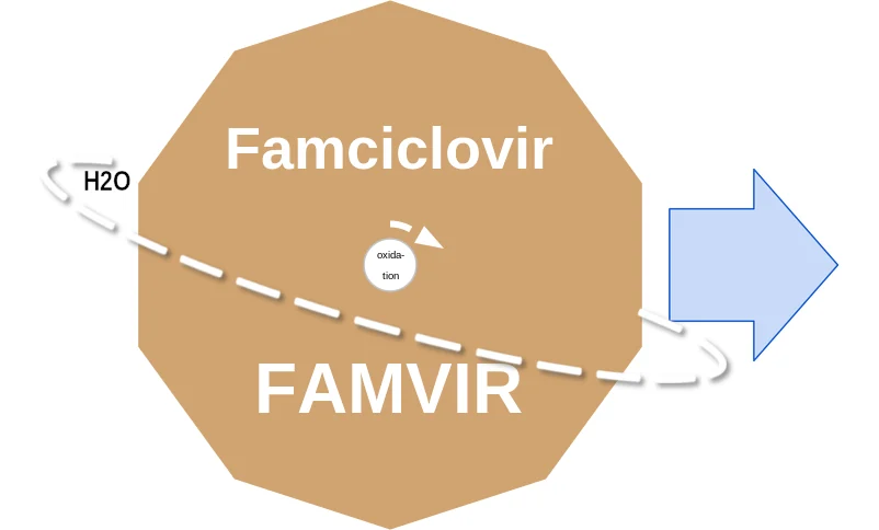 Famciclovir ballicule: receptor binding, kinetics and half-life diagram