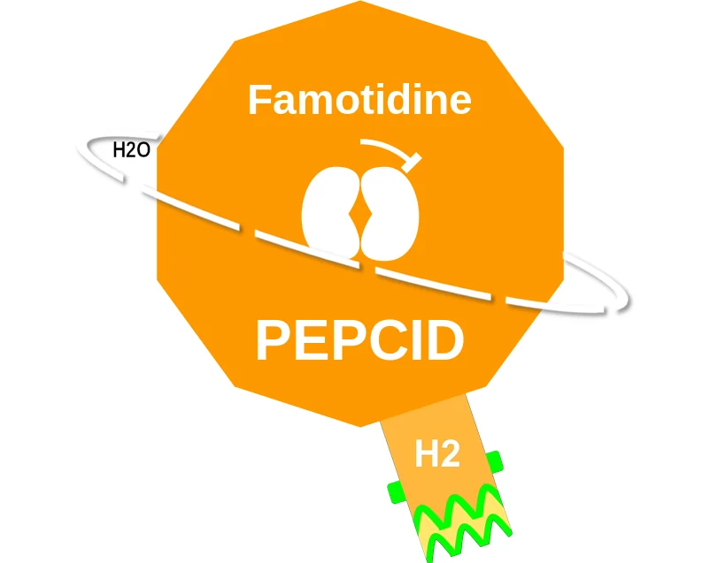 Famotidine ballicule: receptor binding, kinetics and half-life diagram