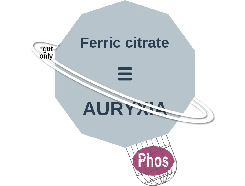 Ferric citrate ballicule: receptor binding, kinetics and half-life diagram
