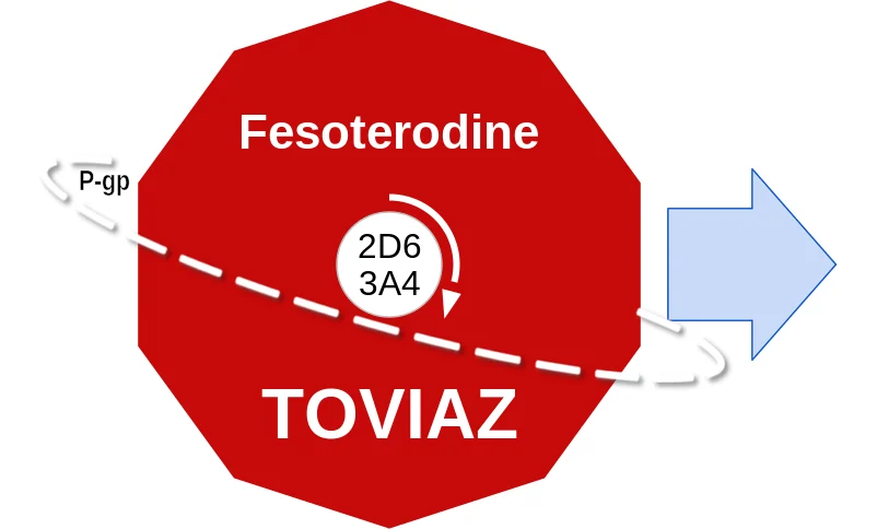 Fesoterodine ballicule: receptor binding, kinetics and half-life diagram