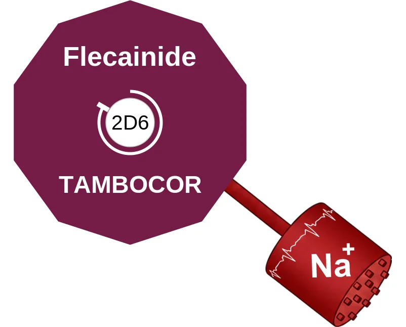 Flecainide ballicule: receptor binding, kinetics and half-life diagram