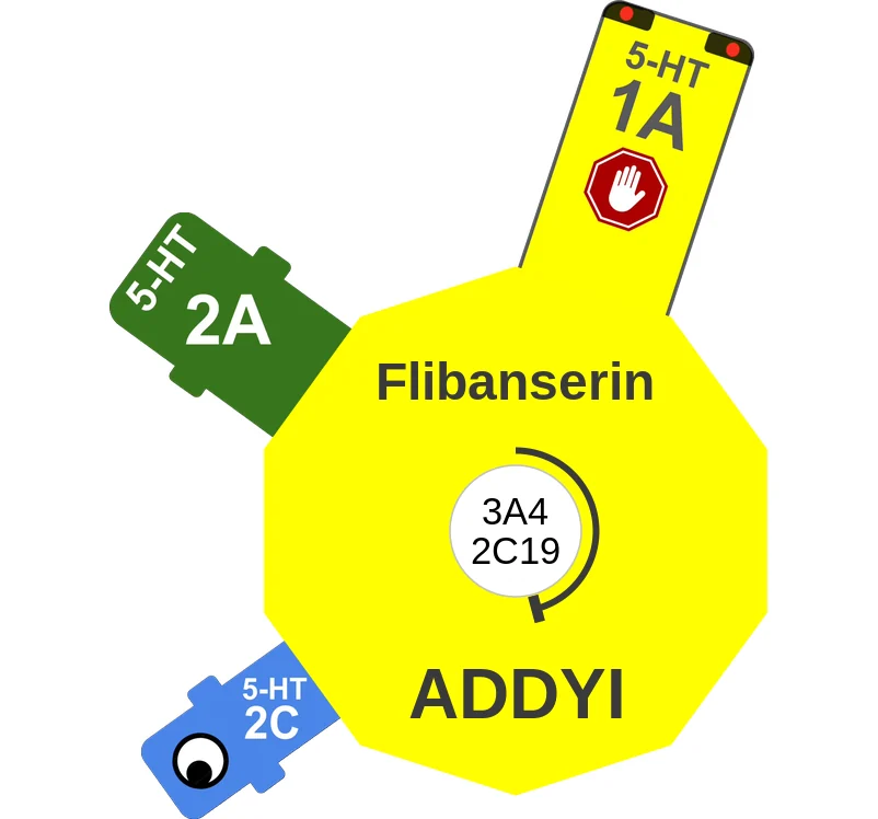 Flibanserin ballicule: receptor binding, kinetics and half-life diagram