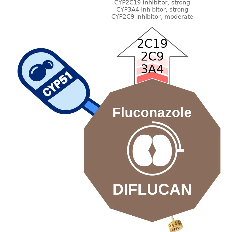 Fluconazole ballicule: receptor binding, kinetics and half-life diagram