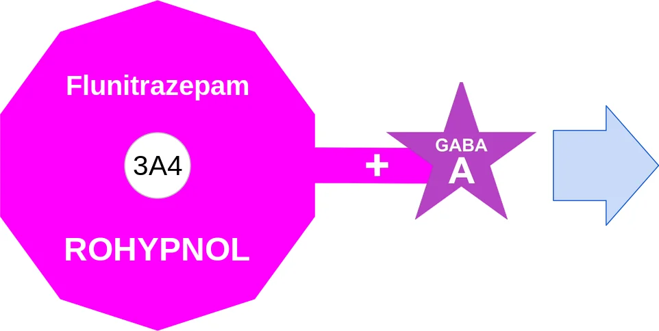 Flunitrazepam ballicule: receptor binding, kinetics and half-life diagram
