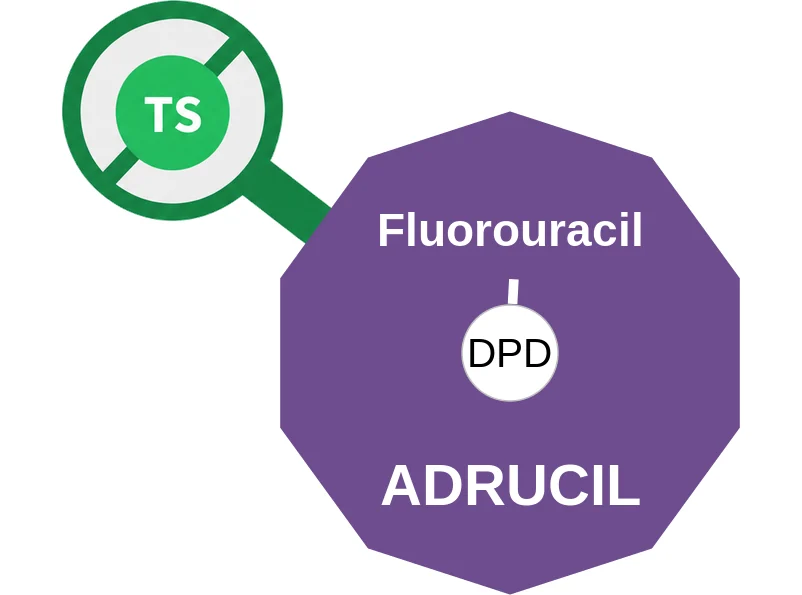 Fluorouracil ballicule: receptor binding, kinetics and half-life diagram