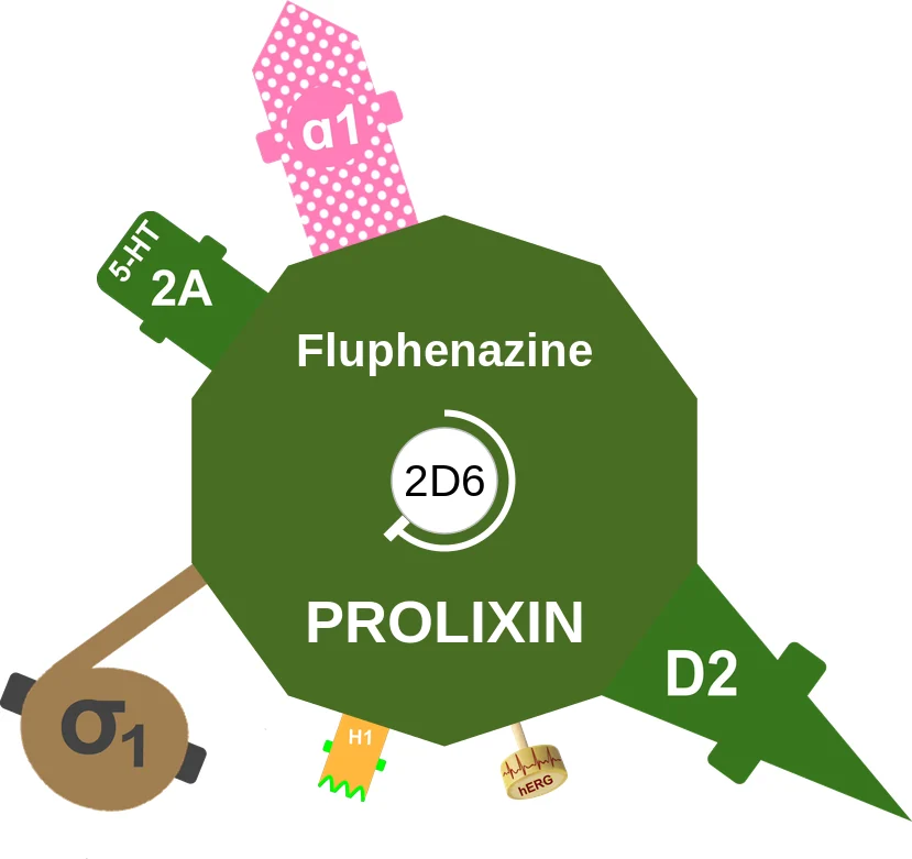 Fluphenazine ballicule: receptor binding, kinetics and half-life diagram