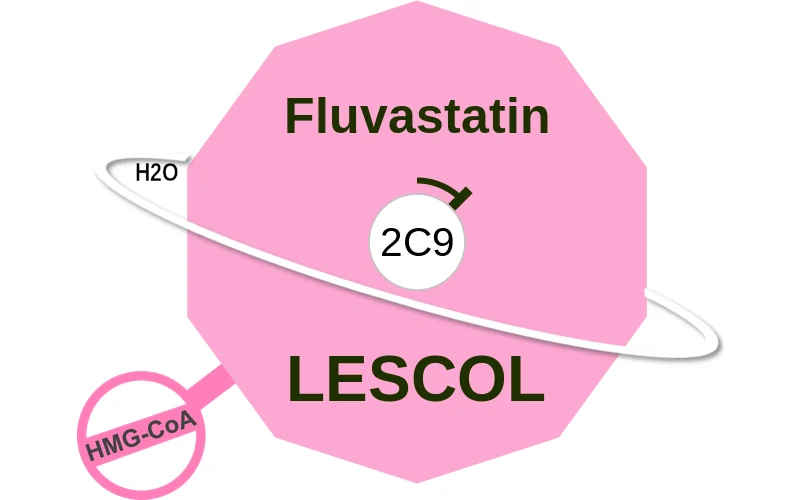 Fluvastatin ballicule: receptor binding, kinetics and half-life diagram
