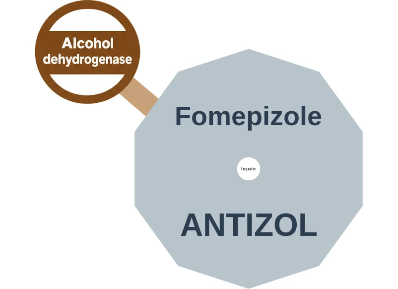Fomepizole ballicule: receptor binding, kinetics and half-life diagram