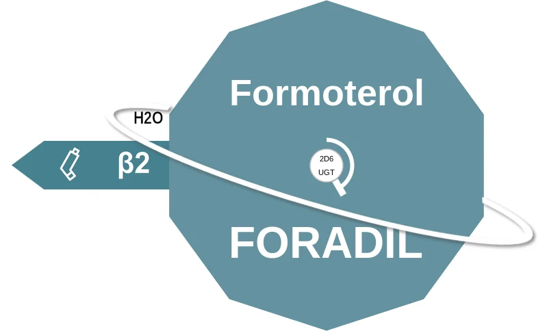Formoterol ballicule: receptor binding, kinetics and half-life diagram