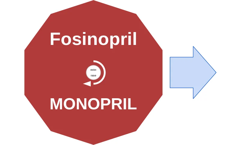 Fosinopril ballicule: receptor binding, kinetics and half-life diagram