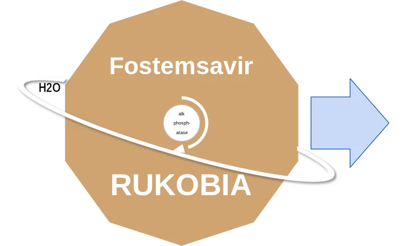 Fostemsavir ballicule: receptor binding, kinetics and half-life diagram