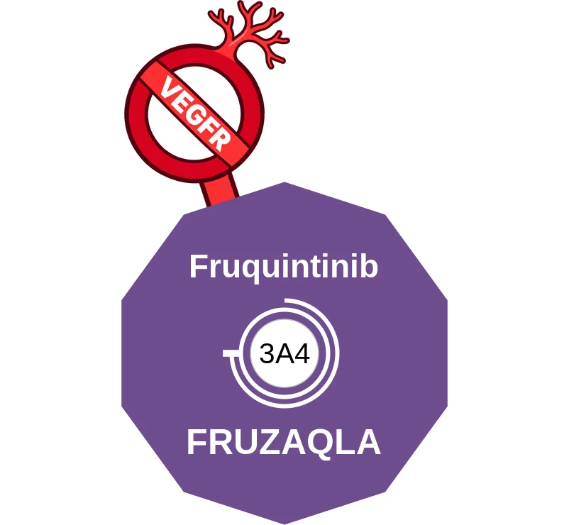 Fruquintinib ballicule: receptor binding, kinetics and half-life diagram