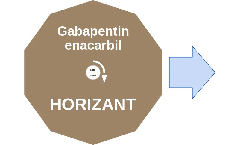 Gabapentin enacarbil ballicule: receptor binding, kinetics and half-life diagram