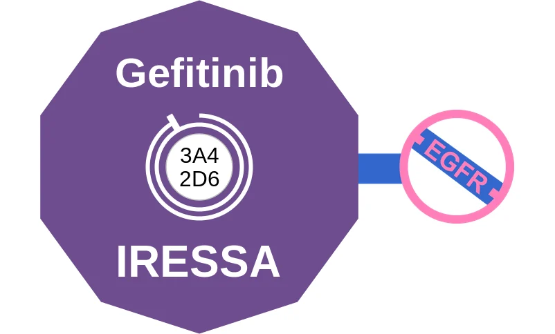 Gefitinib ballicule: receptor binding, kinetics and half-life diagram