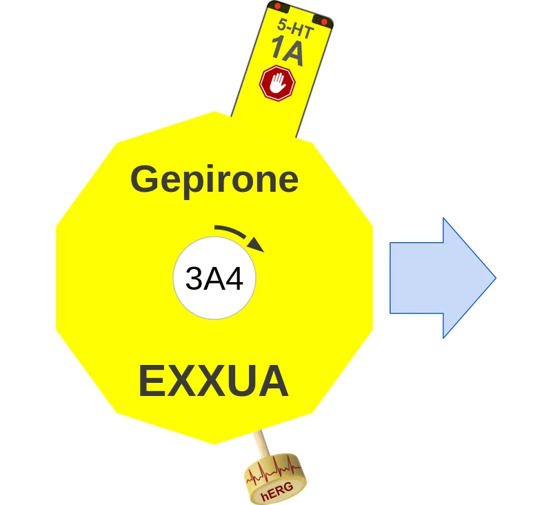 Gepirone ballicule: receptor binding, kinetics and half-life diagram