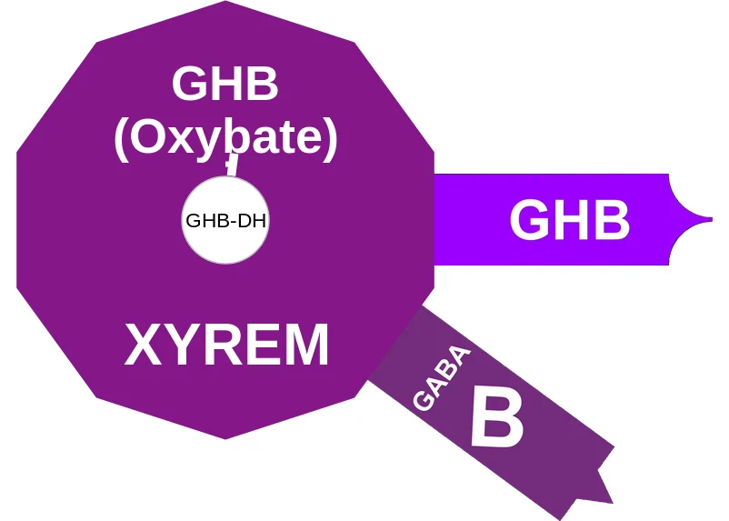 GHB (Oxybate) ballicule: receptor binding, kinetics and half-life diagram