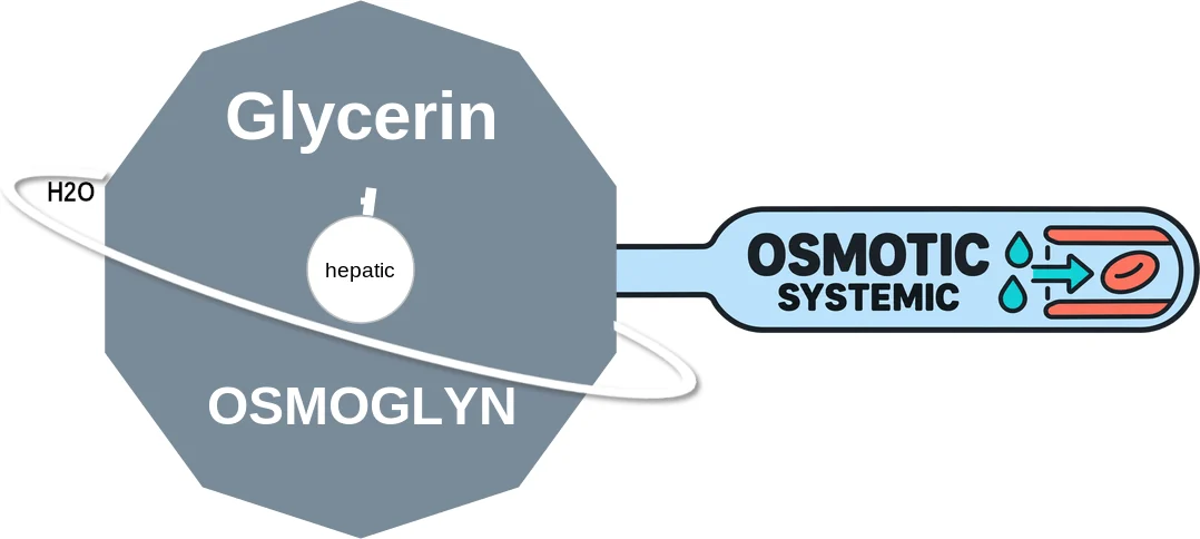 Glycerin ballicule: receptor binding, kinetics and half-life diagram