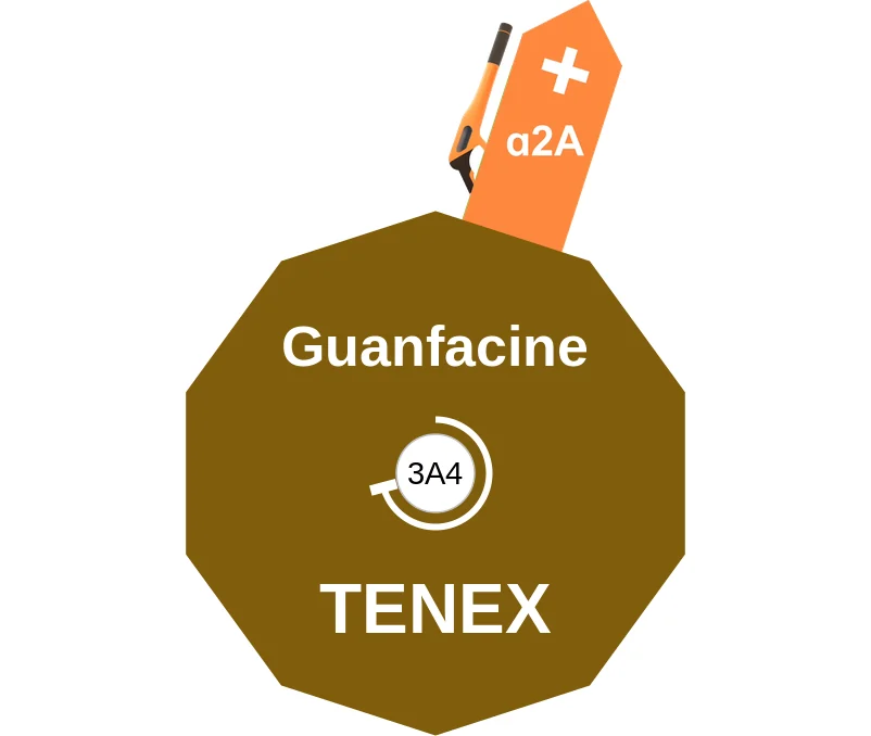 Guanfacine ballicule: receptor binding, kinetics and half-life diagram