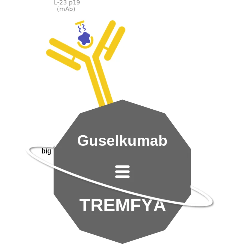 Guselkumab ballicule: receptor binding, kinetics and half-life diagram