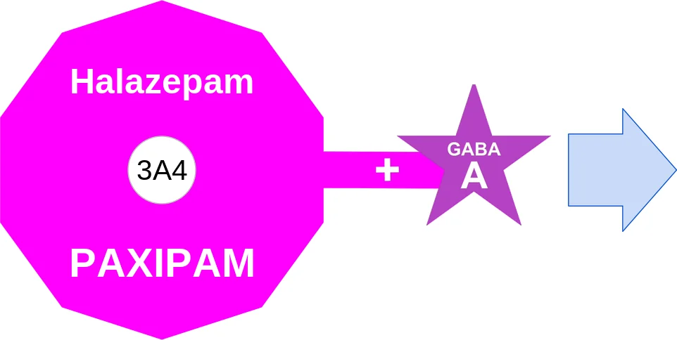 Halazepam ballicule: receptor binding, kinetics and half-life diagram