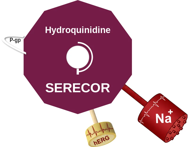 Hydroquinidine ballicule: receptor binding, kinetics and half-life diagram
