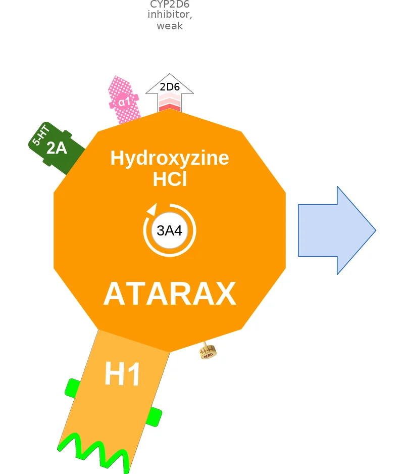 Hydroxyzine HCl ballicule: receptor binding, kinetics and half-life diagram