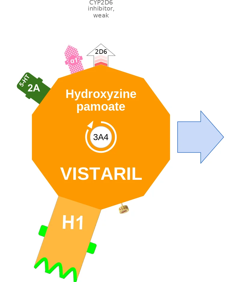 Hydroxyzine pamoate ballicule: receptor binding, kinetics and half-life diagram