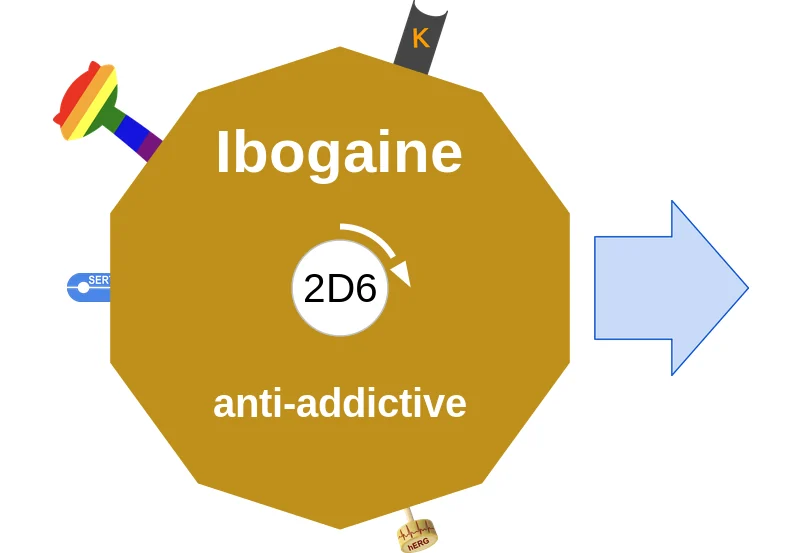 Ibogaine ballicule: receptor binding, kinetics and half-life diagram