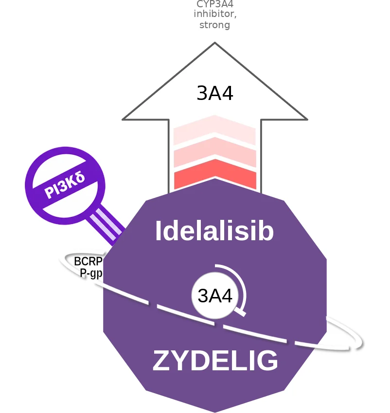 Idelalisib ballicule: receptor binding, kinetics and half-life diagram