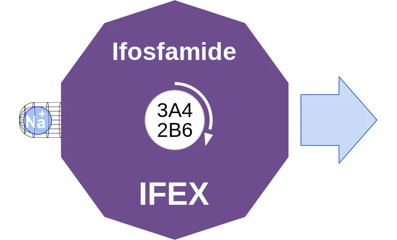 Ifosfamide ballicule: receptor binding, kinetics and half-life diagram