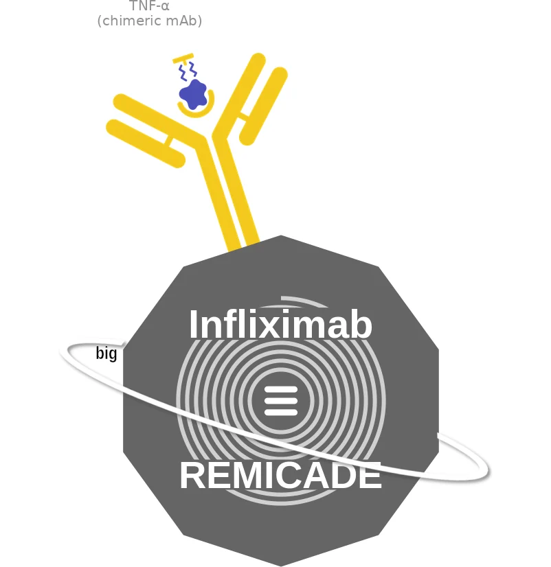Infliximab ballicule: receptor binding, kinetics and half-life diagram