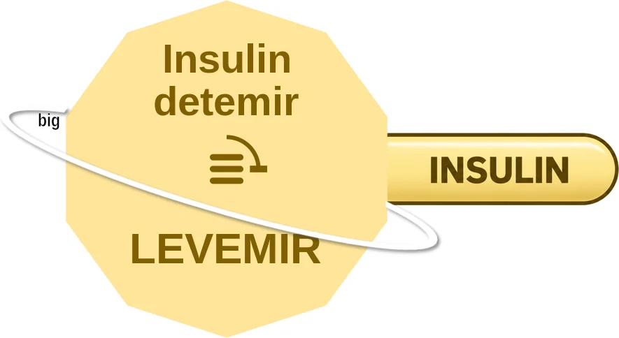 Insulin detemir ballicule: receptor binding, kinetics and half-life diagram