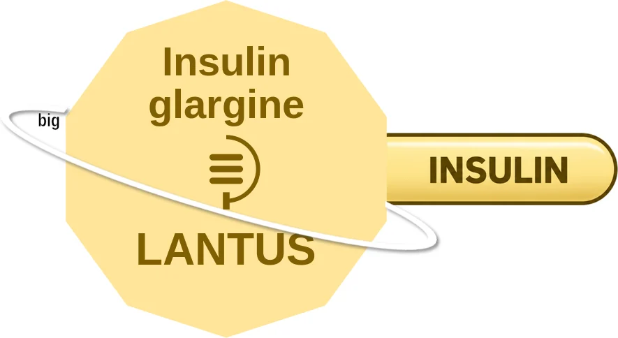 Insulin glargine ballicule: receptor binding, kinetics and half-life diagram