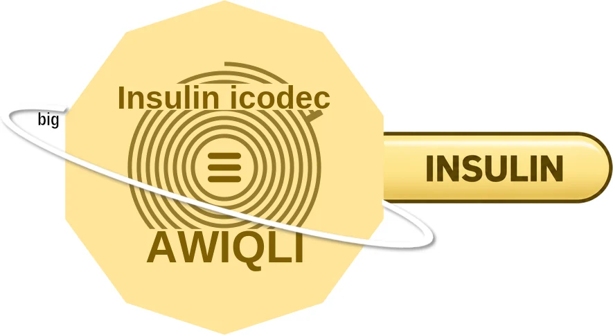 Insulin icodec ballicule: receptor binding, kinetics and half-life diagram