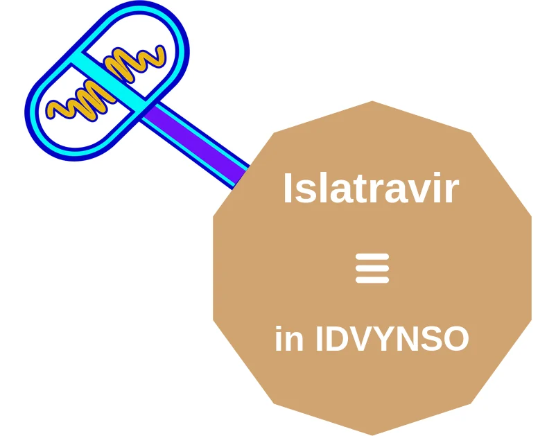 Islatravir ballicule: receptor binding, kinetics and half-life diagram