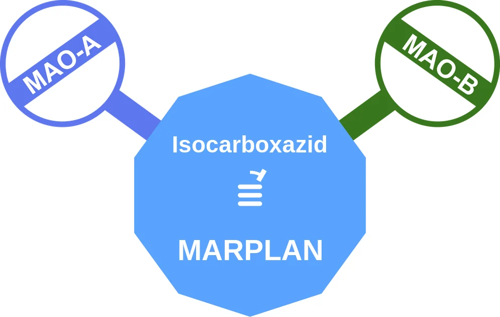 Isocarboxazid ballicule: receptor binding, kinetics and half-life diagram