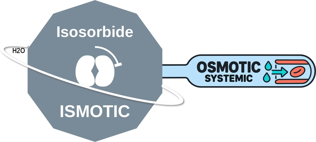 Isosorbide ballicule: receptor binding, kinetics and half-life diagram