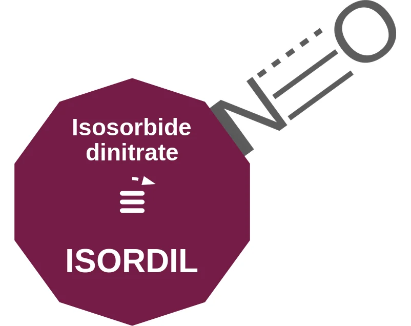 Isosorbide dinitrate ballicule: receptor binding, kinetics and half-life diagram