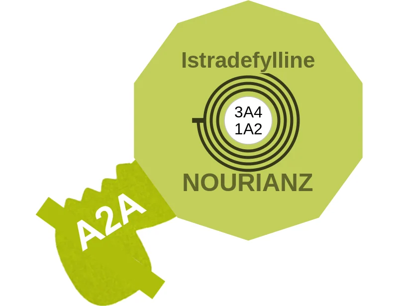 Istradefylline ballicule: receptor binding, kinetics and half-life diagram