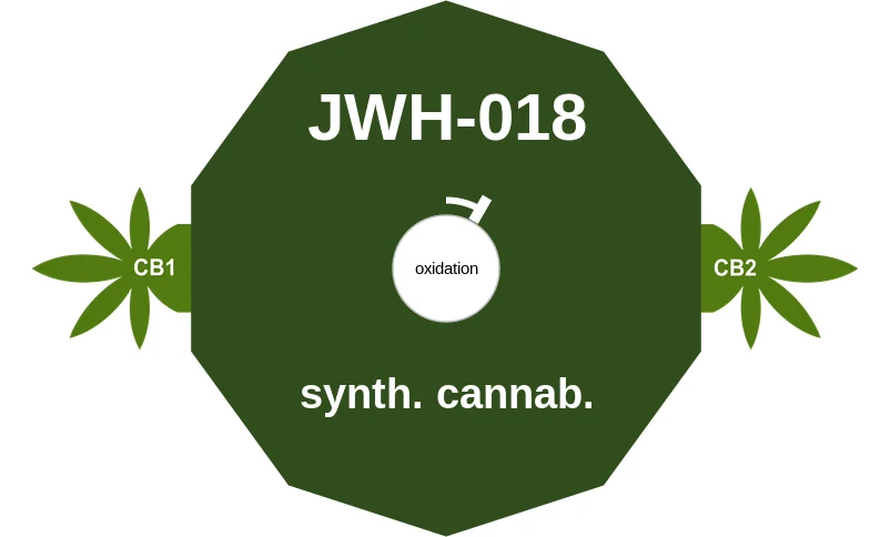 JWH-018 ballicule: receptor binding, kinetics and half-life diagram