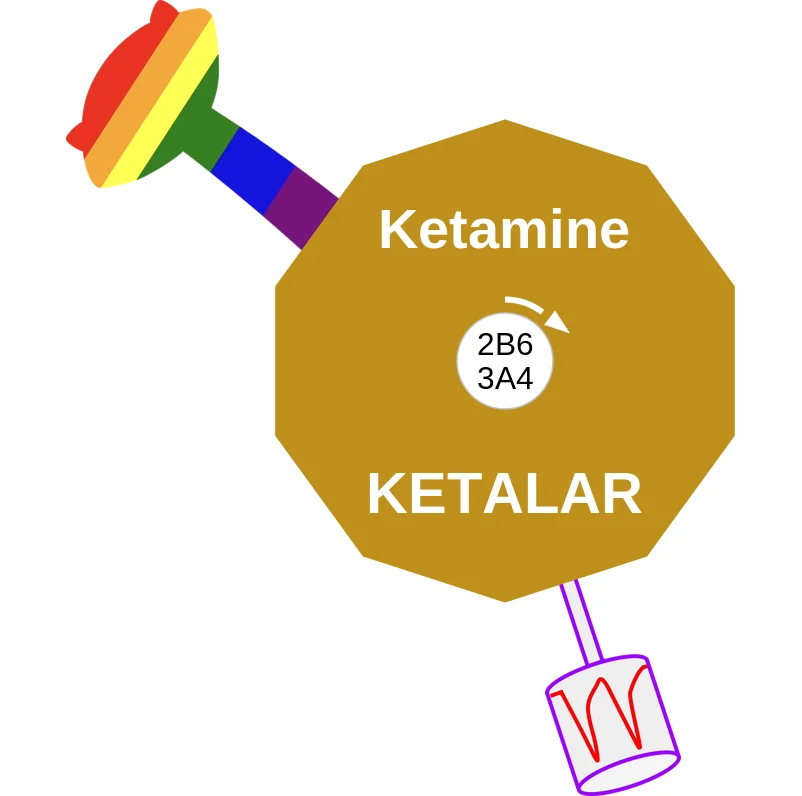 Ketamine ballicule: receptor binding, kinetics and half-life diagram