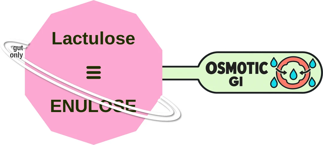 Lactulose ballicule: receptor binding, kinetics and half-life diagram